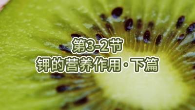 第3-2节-钾的营养作用&bull;下篇