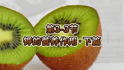 第3-3节-钾的营养作用&bull;下篇