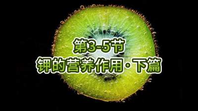 第3-5节-钾的营养作用&bull;下篇