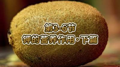 第3-6节-钾的营养作用&bull;下篇