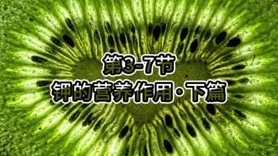第3-7节-钾的营养作用&bull;下篇