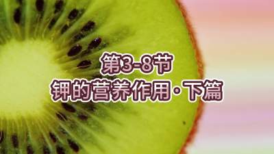 第3-8节-钾的营养作用&bull;下篇