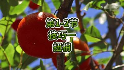 第1-2节-技巧一-扭梢