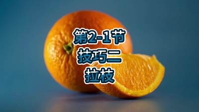 第2-1节-技巧二-拉枝
