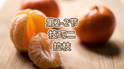第2-2节-技巧二-拉枝