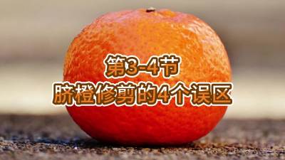 第3-4节-脐橙修剪的4个误区