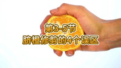 第3-5节-脐橙修剪的4个误区