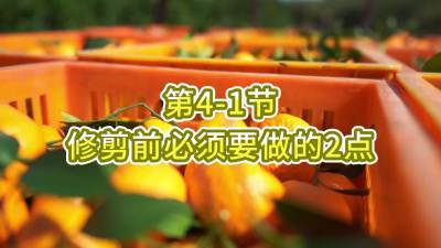 第4-1节-修剪前必须要做的2点