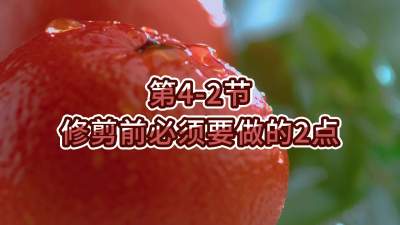 第4-2节-修剪前必须要做的2点