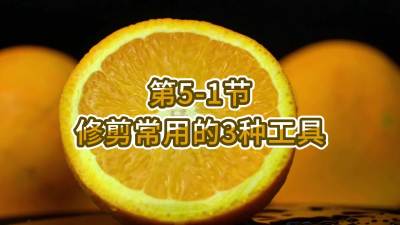 第5-1节-修剪常用的3种工具