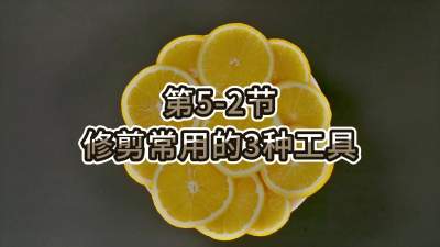 第5-2节-修剪常用的3种工具