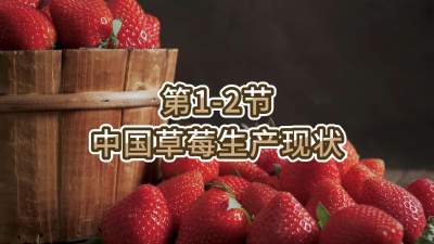 第1-2节-中国草莓生产现状