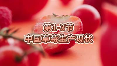 第1-3节-中国草莓生产现状