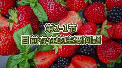 第2-1节-目前存在的主要问题
