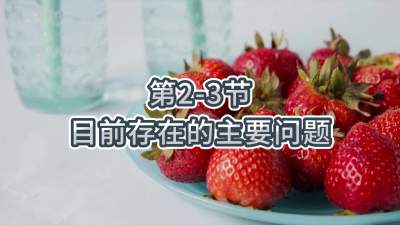 第2-3节-目前存在的主要问题