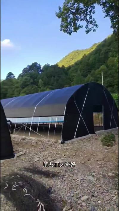 8米宽的双层菌菇大棚，做木耳或做香菇种植都是可以的。 #温室大棚 #绿城温室大棚 #菌菇种植 #农业