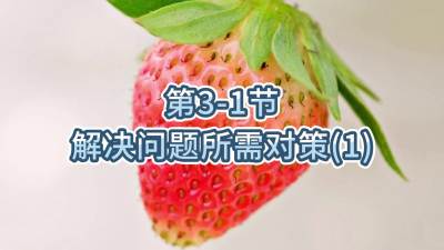第3-1节-解决问题所需对策（1）