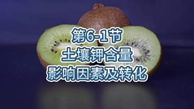 第6-1节-土壤钾含量影响因素及转化