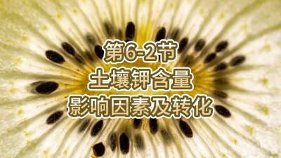 第6-2节-土壤钾含量影响因素及转化