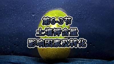 第6-3节-土壤钾含量影响因素及转化