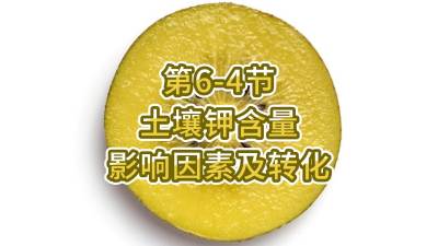 第6-4节-土壤钾含量影响因素及转化