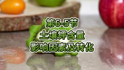 第6-5节-土壤钾含量影响因素及转化