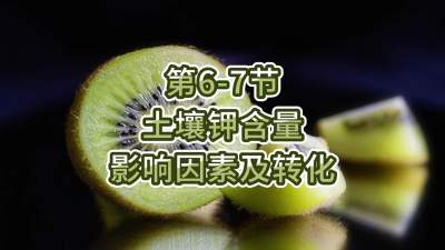 第6-7节-土壤钾含量影响因素及转化