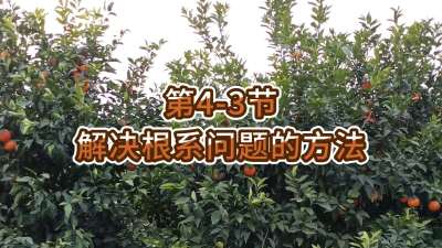 第4-3节-解决根系问题的方法