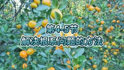 第4-5节-解决根系问题的方法