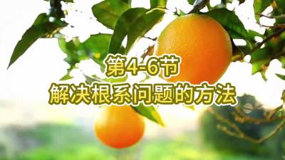 第4-6节-解决根系问题的方法