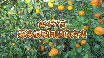 第4-7节-解决根系问题的方法