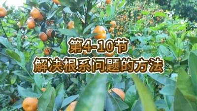 第4-10节-解决根系问题的方法