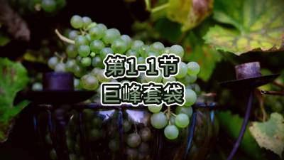 第1-1节-巨峰套袋