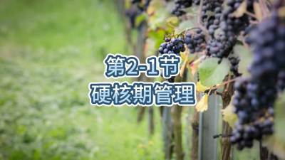 第2-1节-硬核期管理
