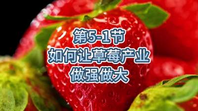 第5-1节-如何让草莓产业做强做大