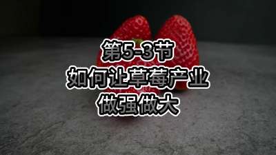 第5-3节-如何让草莓产业做强做大