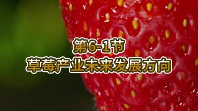 第6-1节-草莓产业未来发展方向
