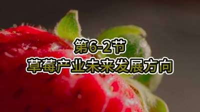 第6-2节-草莓产业未来发展方向