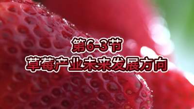 第6-3节-草莓产业未来发展方向