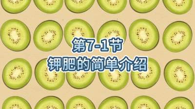 第7-1节-钾肥的简单介绍