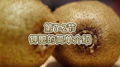 第7-2节-钾肥的简单介绍