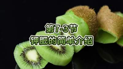 第7-3节-钾肥的简单介绍