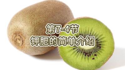 第7-4节-钾肥的简单介绍
