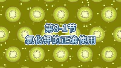 第8-1节-氯化钾的正确使用