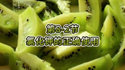 第8-2节-氯化钾的正确使用