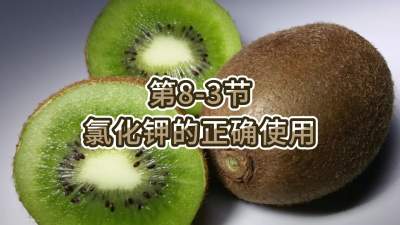 第8-3节-氯化钾的正确使用