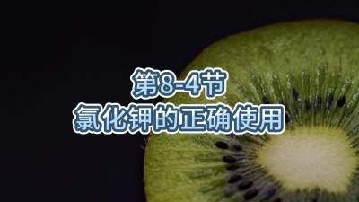 第8-4节-氯化钾的正确使用