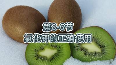 第8-6节-氯化钾的正确使用