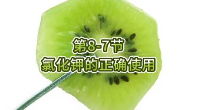 第8-7节-氯化钾的正确使用