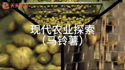 《现代农业探索-马铃薯》一起来探索现代化农业中的马铃薯从田间到餐桌的全过程！